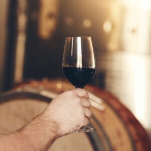 CATA DE VINO